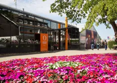 At the Dümmen Orange office in Rheinberg, they are also opening their doors for the FlowerTrials visitors. 